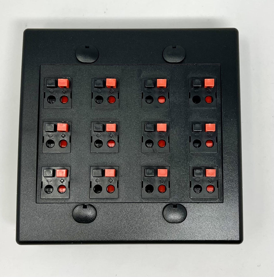 RiteAV 12 Port Speaker Jack Dual Gang Wall Plate for Home Theater - Black