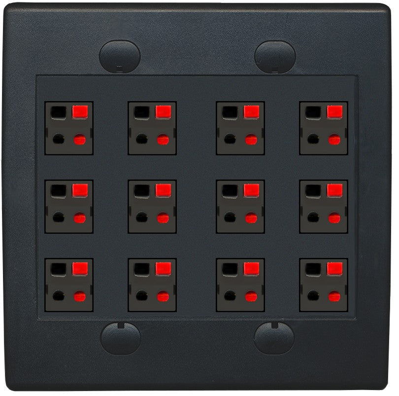 RiteAV 12 Port Speaker Jack Dual Gang Wall Plate for Home Theater - Flat Style 2 Gang [Black/Black]