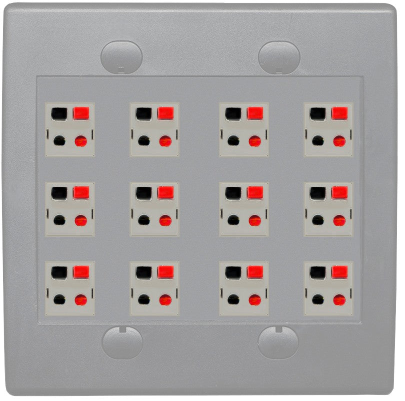 RiteAV 12 Port Speaker Jack Dual Gang Wall Plate for Home Theater - Flat Style 2 Gang [Gray/Gray]