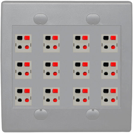 RiteAV 12 Port Speaker Jack Dual Gang Wall Plate for Home Theater - Flat Style 2 Gang [Gray/Gray]