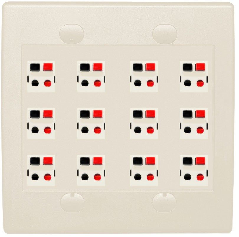 RiteAV 12 Port Speaker Jack Dual Gang Wall Plate for Home Theater - Flat Style 2 Gang [Light Almond]