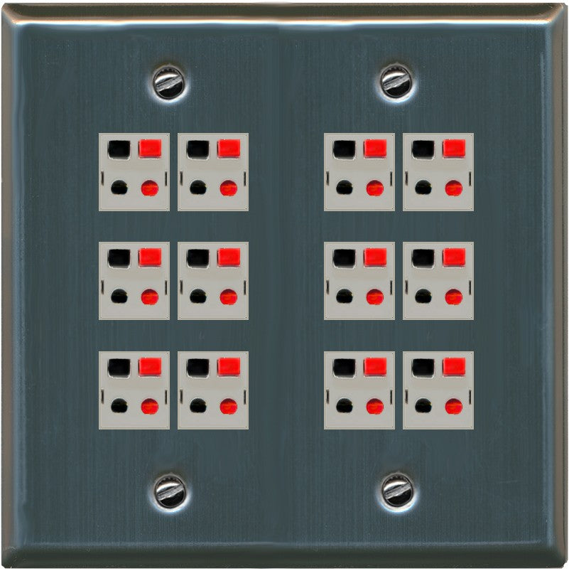 RiteAV 12 Port Speaker Jack Dual Gang Wall Plate for Home Theater - Flat Style 2 Gang [Stainless Steel]