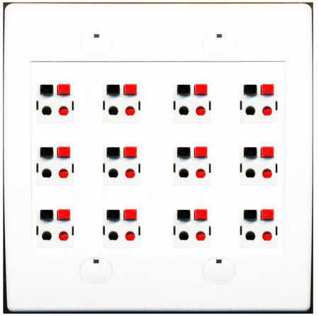 RiteAV 12 Port Speaker Jack Dual Gang Wall Plate for Home Theater - Flat Style 2 Gang [White]
