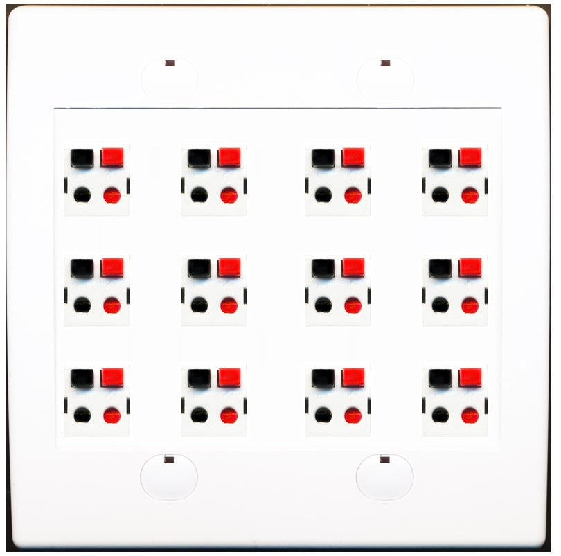 RiteAV 12 Port Speaker Jack Dual Gang Wall Plate for Home Theater - Flat Style 2 Gang [White]