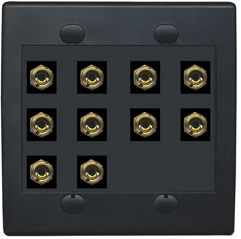 RiteAV 10 Banana 5 Speaker Surround  2 Gang Coupler Wall Plate 2 Gang Black