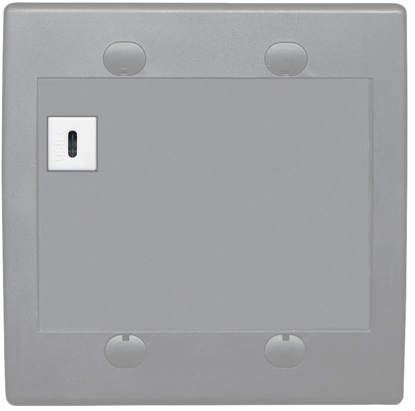 RiteAV USBC Wall Plate - Flat 2 Gang [Gray/Gray]