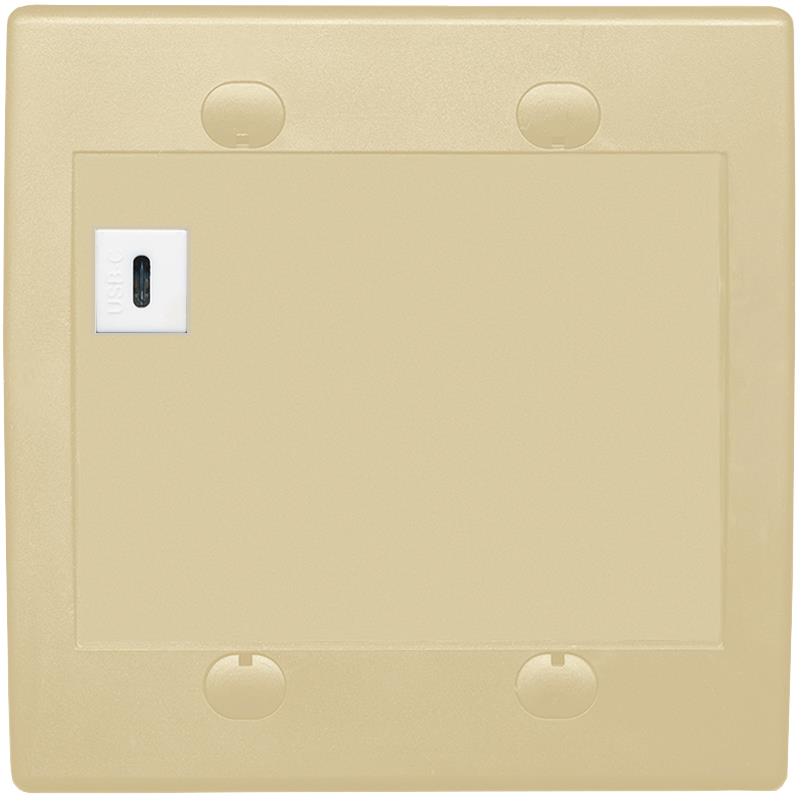 RiteAV USBC Wall Plate - Flat 2 Gang [Ivory/Ivory]