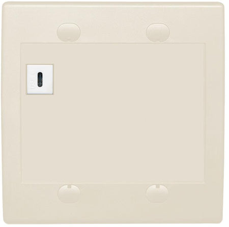 RiteAV USBC Wall Plate - Flat 2 Gang [Light Almond]