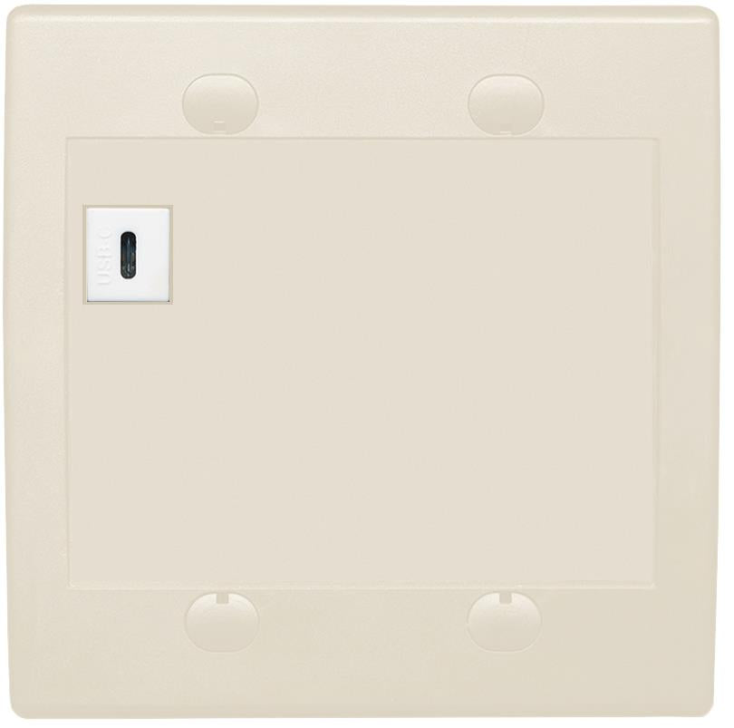 RiteAV USBC Wall Plate - Flat 2 Gang [Light Almond]