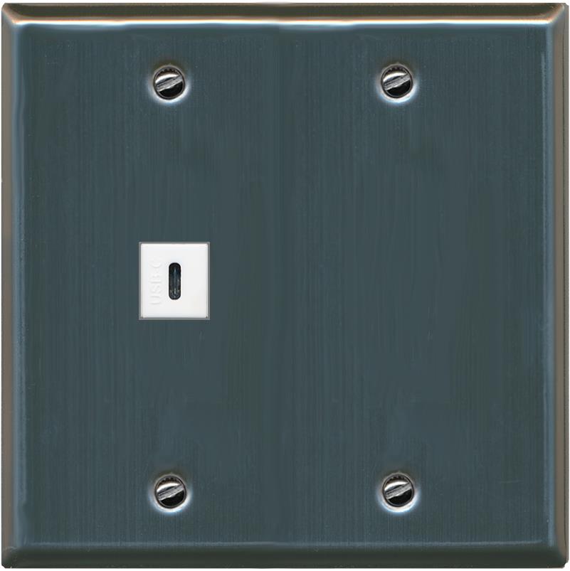 RiteAV USBC Wall Plate - Flat 2 Gang [Stainless Steel]