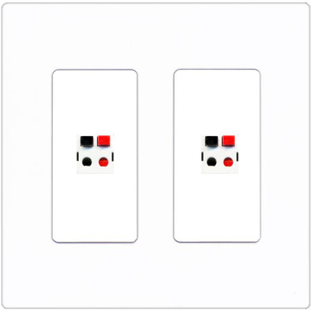 RiteAV 2 Port Speaker Wire Plug Jack Wall Plate - 2 Gang [Screwless White]