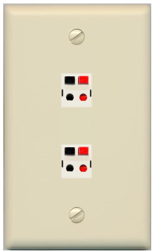 RiteAV 2 Port Speaker Wire Plug Jack Wall Plate - Flat [Ivory/Ivory]