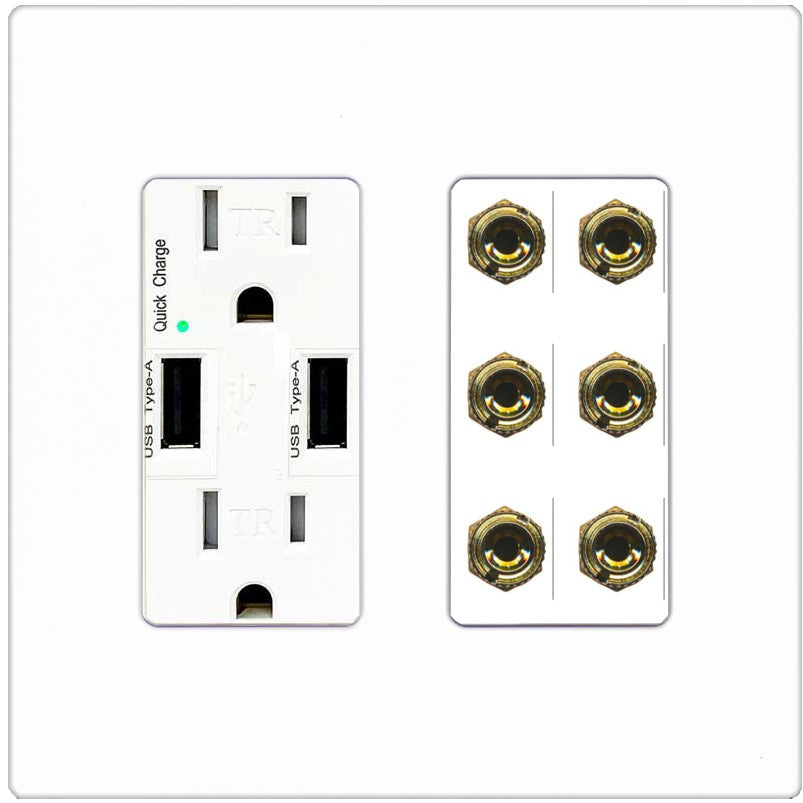 RiteAV 6 Banana 3 Speaker Surround Female Coupler Binding Post Wall Plate - USB Outlet [Screwless White]