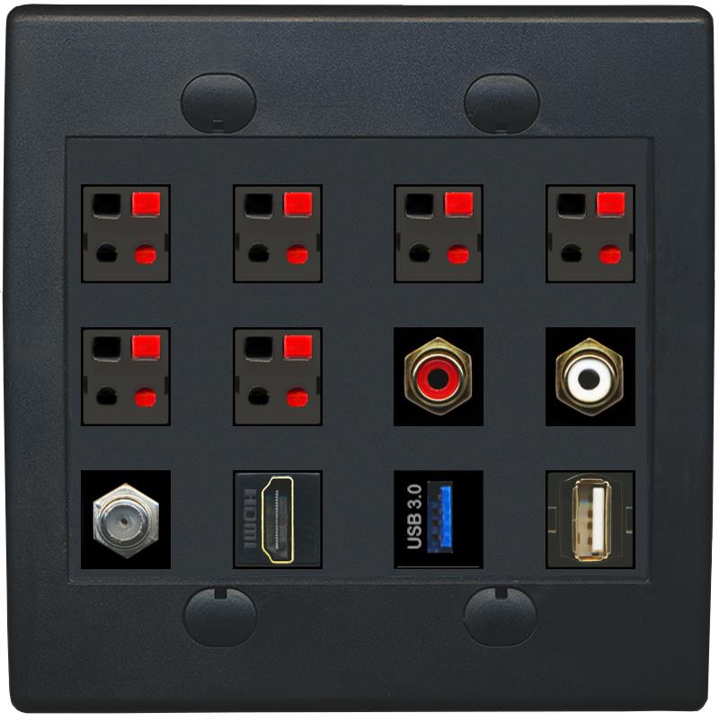 12 Ports Coax Hdmi RCA-Red-White 6 Speaker Usb3 Usb2 Wall Plate [Black]