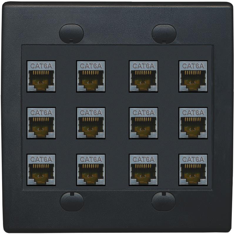 RiteAV Cat6A Wall Plate 12 Port - Flat 2 Gang [Black/Black]