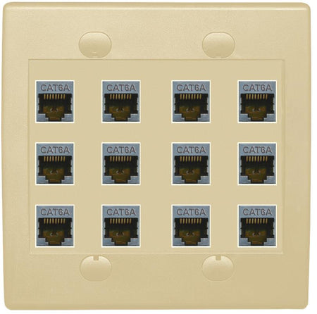 RiteAV Cat6A Wall Plate 12 Port - Flat 2 Gang [Ivory/Ivory]