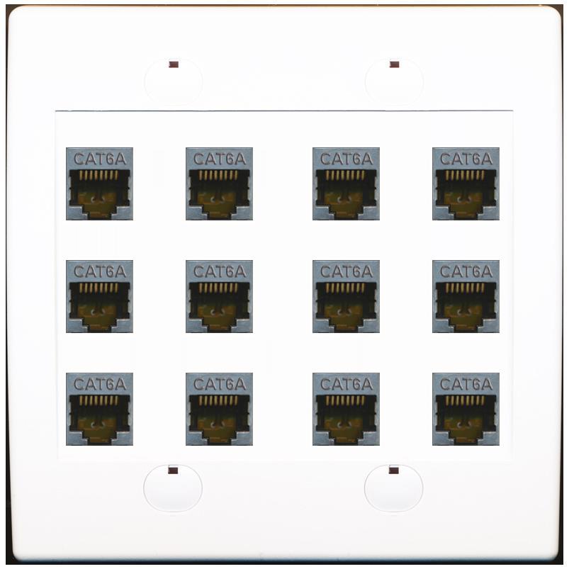 RiteAV Cat6A Wall Plate 12 Port - Flat 2 Gang [White]