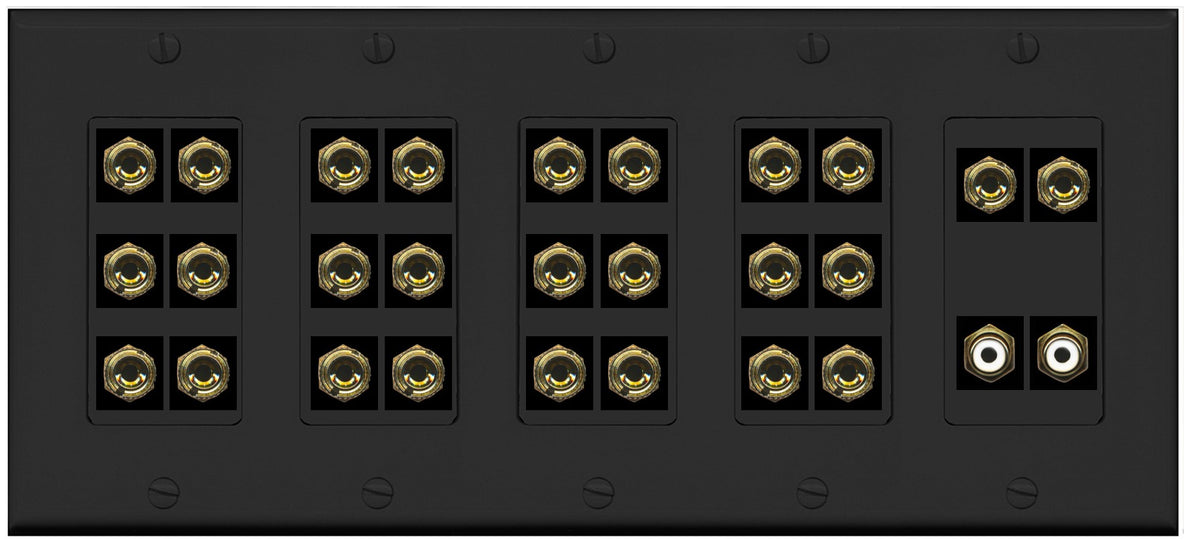 RiteAV 13.2 Surround Sound 13 Speaker 24 Banana Port Wall Plate w/2 x RCA Subwoofer Female Connectors - 5 Gang [Black]